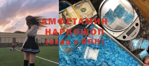 индика Армянск