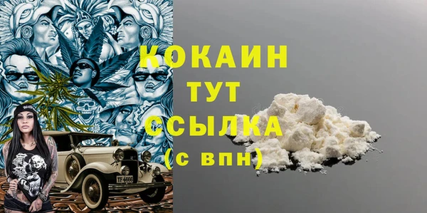 индика Армянск