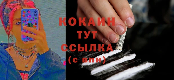 индика Армянск
