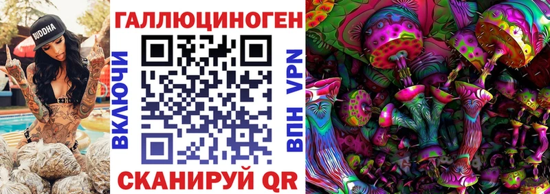 сколько стоит  Соль-Илецк  Псилоцибиновые грибы Cubensis 